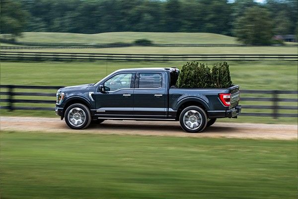 2021 ford f-150 side