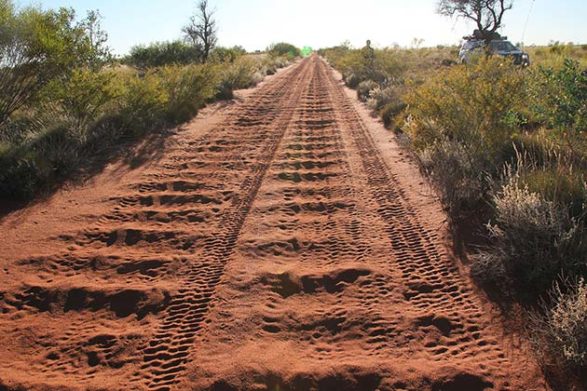 the dirt path of the canning stock route in australia