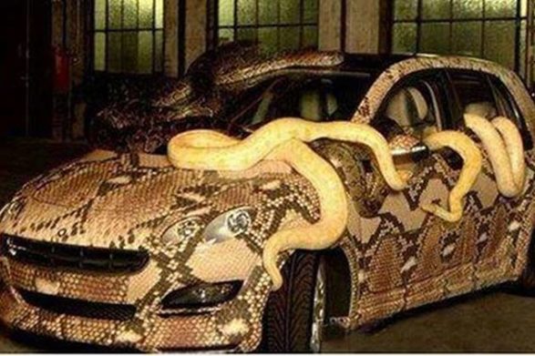 a car paint job that is snakeskin